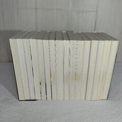 バカとテストと召喚獣 ライトノベル16冊セットの画像