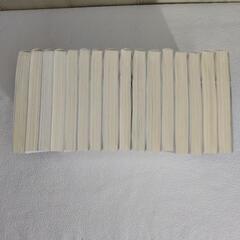 バカとテストと召喚獣 ライトノベル16冊セットの画像