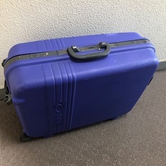 ACE   キャリーケースの画像