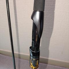 モアザンブランジーノ　EX  AGS  94MMHの画像