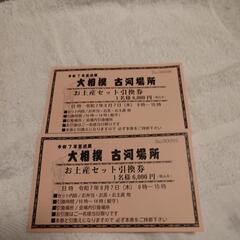 大相撲古河場所ペアチケットの画像