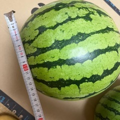 すいかの画像
