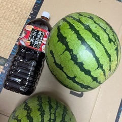 すいかの画像