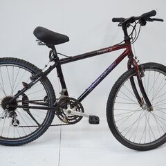 Panasonic Mountaincat 年式不明 シティサイクルの画像