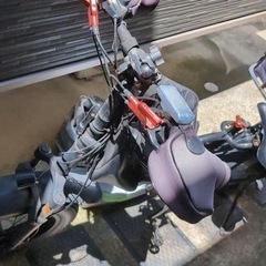 電動アシスト自転車【決定】の画像