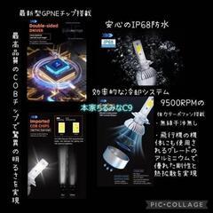 純白爆光 HB4 C9 LED ヘッドライト フォグ バルブ6000k 9006 CANBUS 6000k ホワイト ハイビーム ロービーム フォグランプの画像