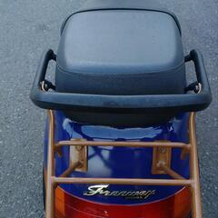 ホンダフリーウェイ250の画像