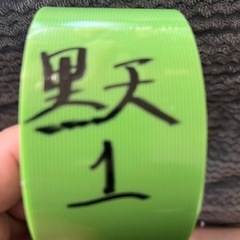 伊勢宮メダカ　黒天幻龍RLF ６匹の画像