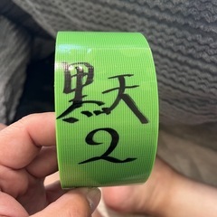 伊勢宮メダカ　黒天幻龍RLF 6匹の画像