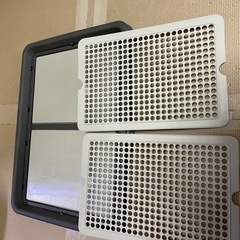 犬　トイレトレーの画像