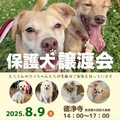 保護犬 譲渡会 8月9日 東京都