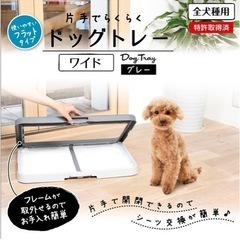 犬　トイレトレーの画像