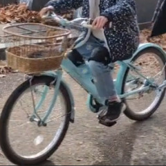 20インチ子供用自転車