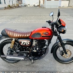 北海道　カワサキ　W175 外装美品！走行少ない！タイヤ前後山あり！ の画像