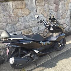 125cc人気のpcxの画像