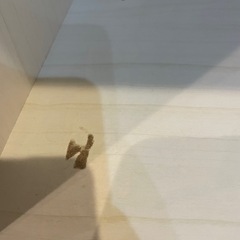 カラーボックス白の画像