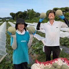 毎日営業❗いとこが作ったメロン、スイカ直売します❗の画像