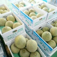 毎日営業❗いとこが作ったメロン、スイカ直売します❗の画像