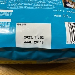 わんちゃんのご飯 の画像