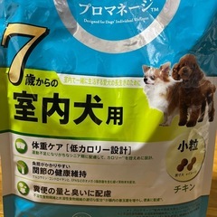 わんちゃんのご飯 の画像