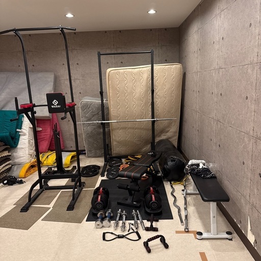 筋トレ用品　ベンチプレスやぶら下がり健康のやつ