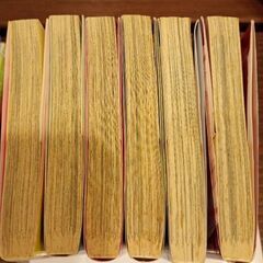 恋と嘘　１巻〜6巻の画像