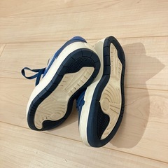 NIKE エレベートの画像
