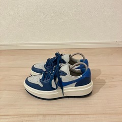 NIKE エレベートの画像