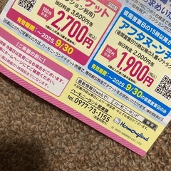 ハーモニーランド　割引券　遊園地　アトラクションの画像