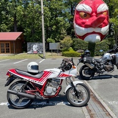 (交換可)cbx125f 治らなければ不動車の画像