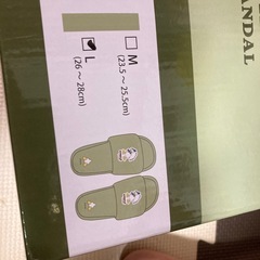 ドナルドダックのスリッパの画像