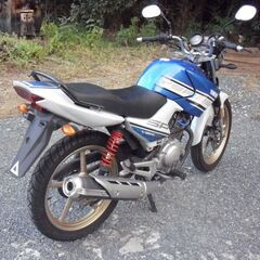 YAMAHA YBR  ワイビー アール ・Special-Edition 10周年記念モデルの画像