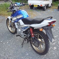 YAMAHA YBR  ワイビー アール ・Special-Edition 10周年記念モデルの画像