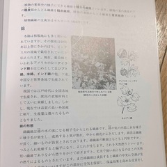長沼静きもの学院　きもの教本1,2,3 セットの画像