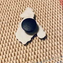 【100円】クロックス用　アクセサリー　馬の画像