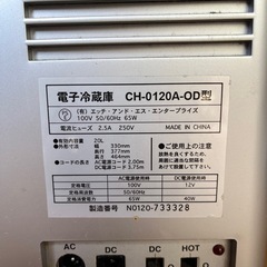 ポータブル冷温庫　ディズニー✖️日産の画像