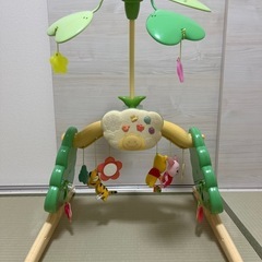 メリーの画像