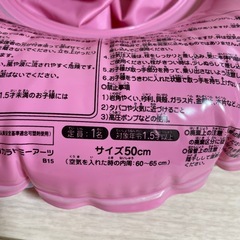 浮き輪 足入れ 50センチの画像