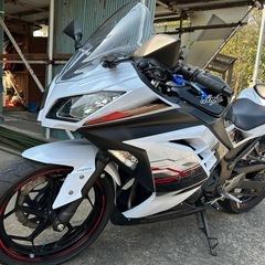 ninja250Special Edition ABS付きの画像