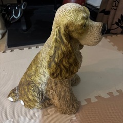【犬】アメリカンコッカースパニエルだと思う
の画像