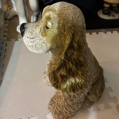 【犬】アメリカンコッカースパニエルだと思う
の画像