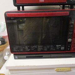 ヘルシー電子レンジ　レッド7/29の画像