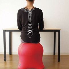 ⑫コンテスト全国トップ1位準大賞、背をまっすぐにしませんか？の画像