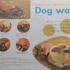 胴長短足犬用　後輪車いすの画像