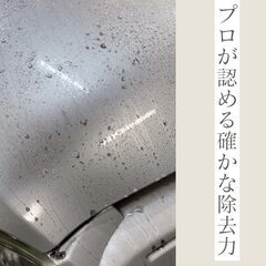 トライウォッシュ　 強力鉄粉除去剤の画像