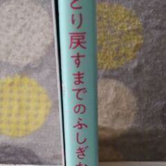 コミックエッセイ　本　私をとり戻すまでのふしぎな3日間の画像
