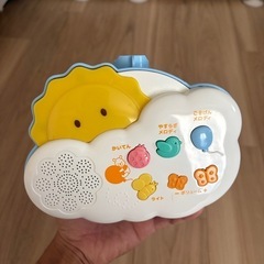 プーメリーの画像