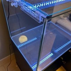 コトブキ 　レグラス　水槽　レグラスフラットF-600Lの画像