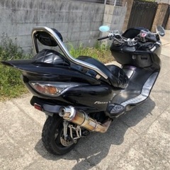 フォルツァの画像