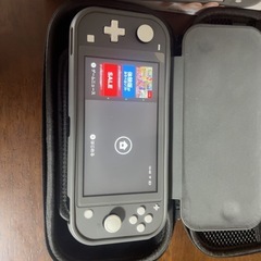 Nintendo Switch Lite グレー 充電器・ケース付きの画像